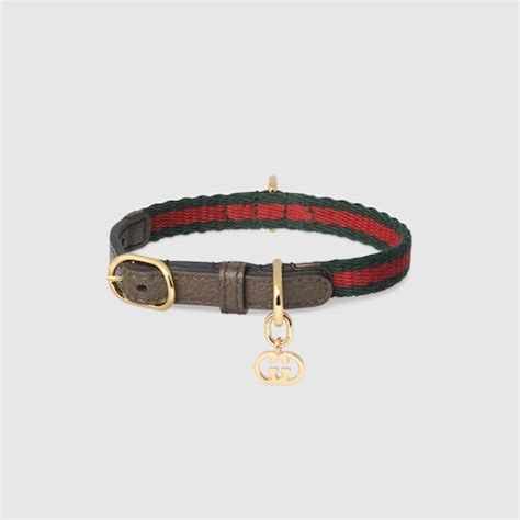 gucci collan|gucci designer cat collars.